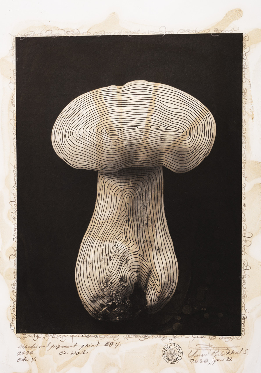 'The Mushroom', 2020, stained and over-drawn photograph, Japanese Bamboo Washi Paper, 13x19 inches, Unique Edn.