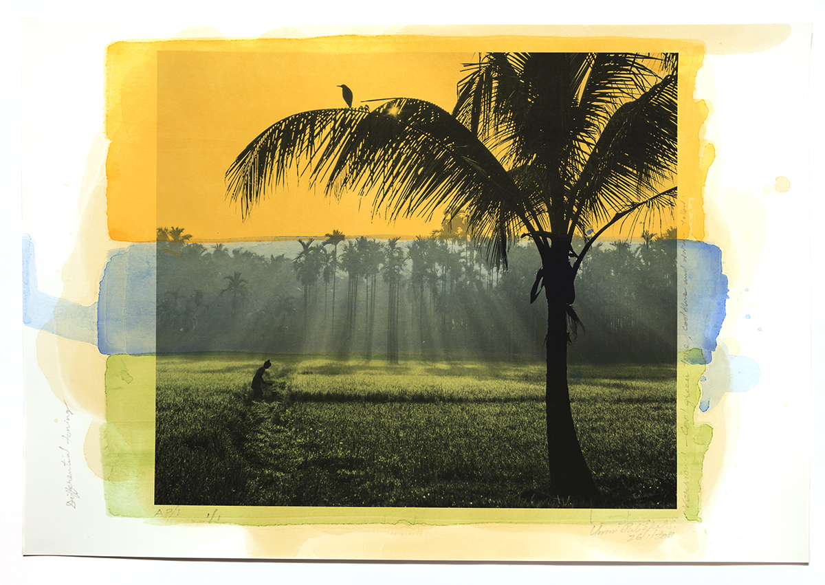 'The paddy field in Kodaly', printed 2014, stained 2017, pigment stained photograph,13 x 19 in, unique Edn.